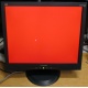 Монитор 19" ViewSonic VA903b (1280x1024) есть битые пиксели (Муром)