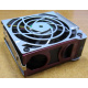 HP 224977 (224978-001) for Proliant ML370 G2/G3/G4 (Муром).