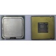 Процессор Intel Celeron D 336 (2.8GHz /256kb /533MHz) SL98W s.775 (Муром)