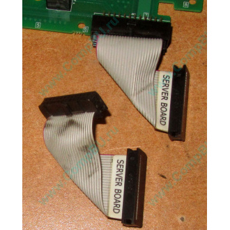 6017B0045701 Шлейф 24 pin для Intel C74974-401 T0043401-B01 корпуса SR2400 (Муром)