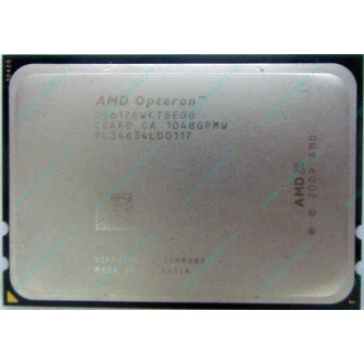 AMD Opteron 6128 OS6128WKT8EGO (Муром)