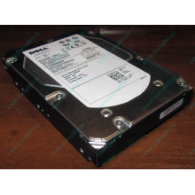 Жесткий диск 300Gb 15k Dell 9CH066-050 6G SAS (Seagate Cheetach ST3300656SS 15K.6) - Муром