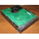 Жесткий диск 300Gb 15k Seagate Cheetach ST3300656SS 15K.6 Dell 9CH066-050 6G SAS (Муром)